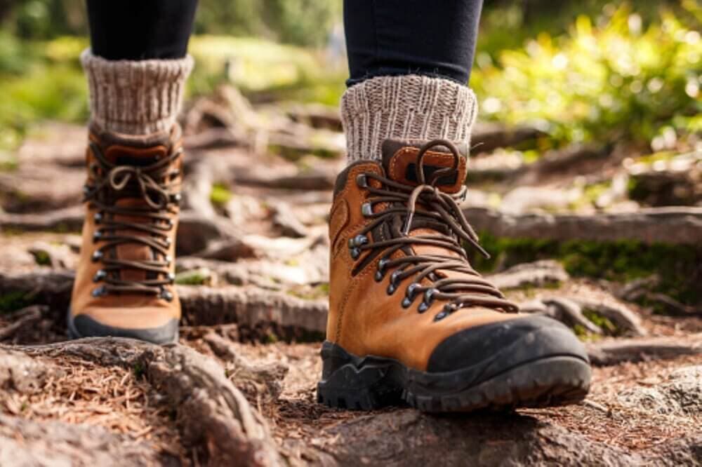 5 Great Local Walks