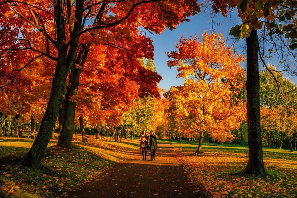 A Walk in the Park!