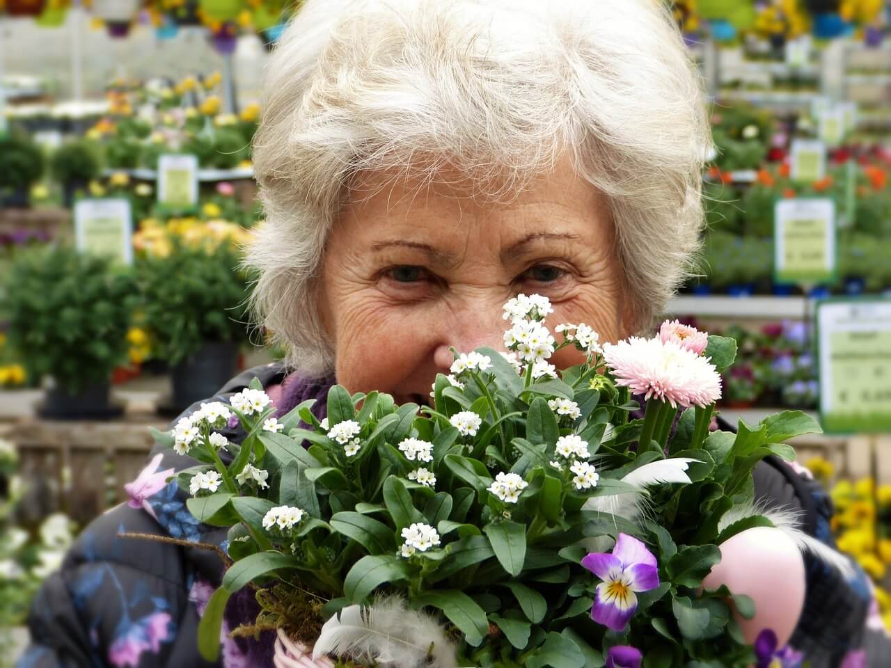 Garden centres in and around Newent
