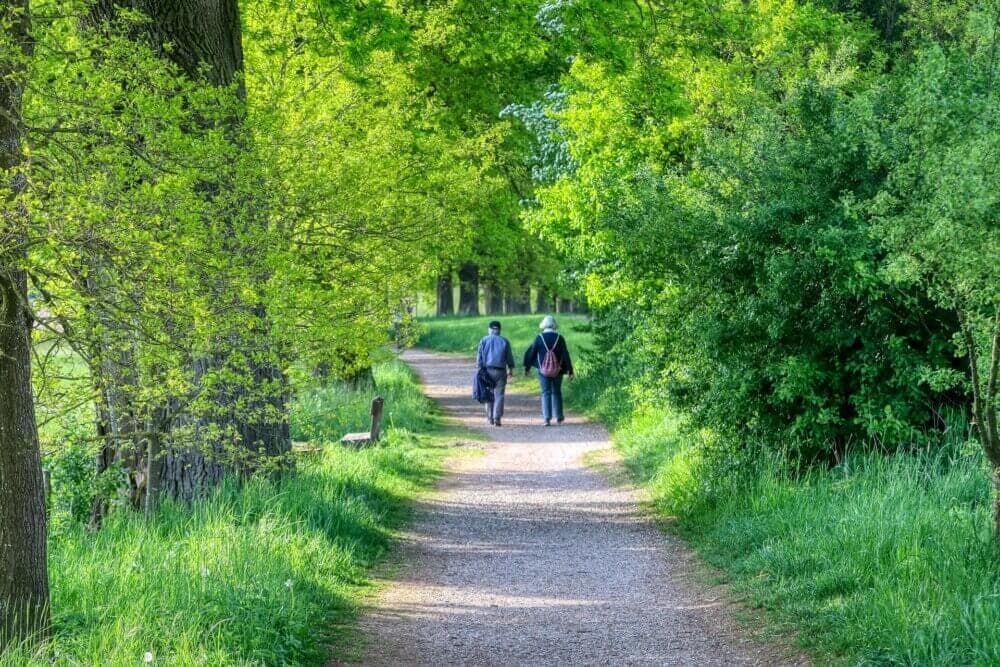 Two people walk down a tree-lined path surrounded by lush green foliage on a sunny day. - Home Instead
