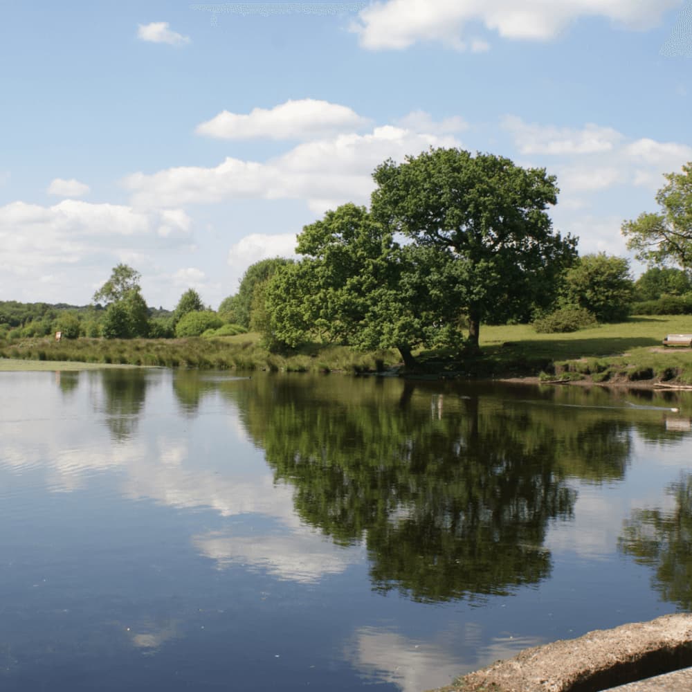 A serene lake reflecting green trees and a partly cloudy sky, with grassy banks in the background. - Home Instead