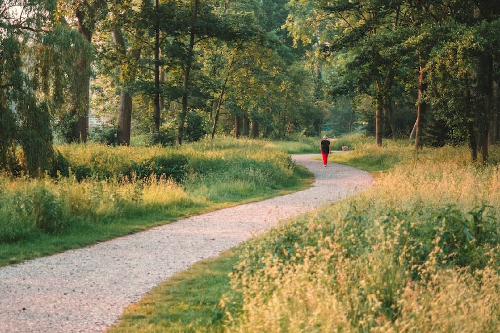 Best places for a stroll across Burnley