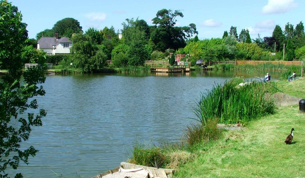 5 Places to Feed the Ducks in Conwy, North Wales