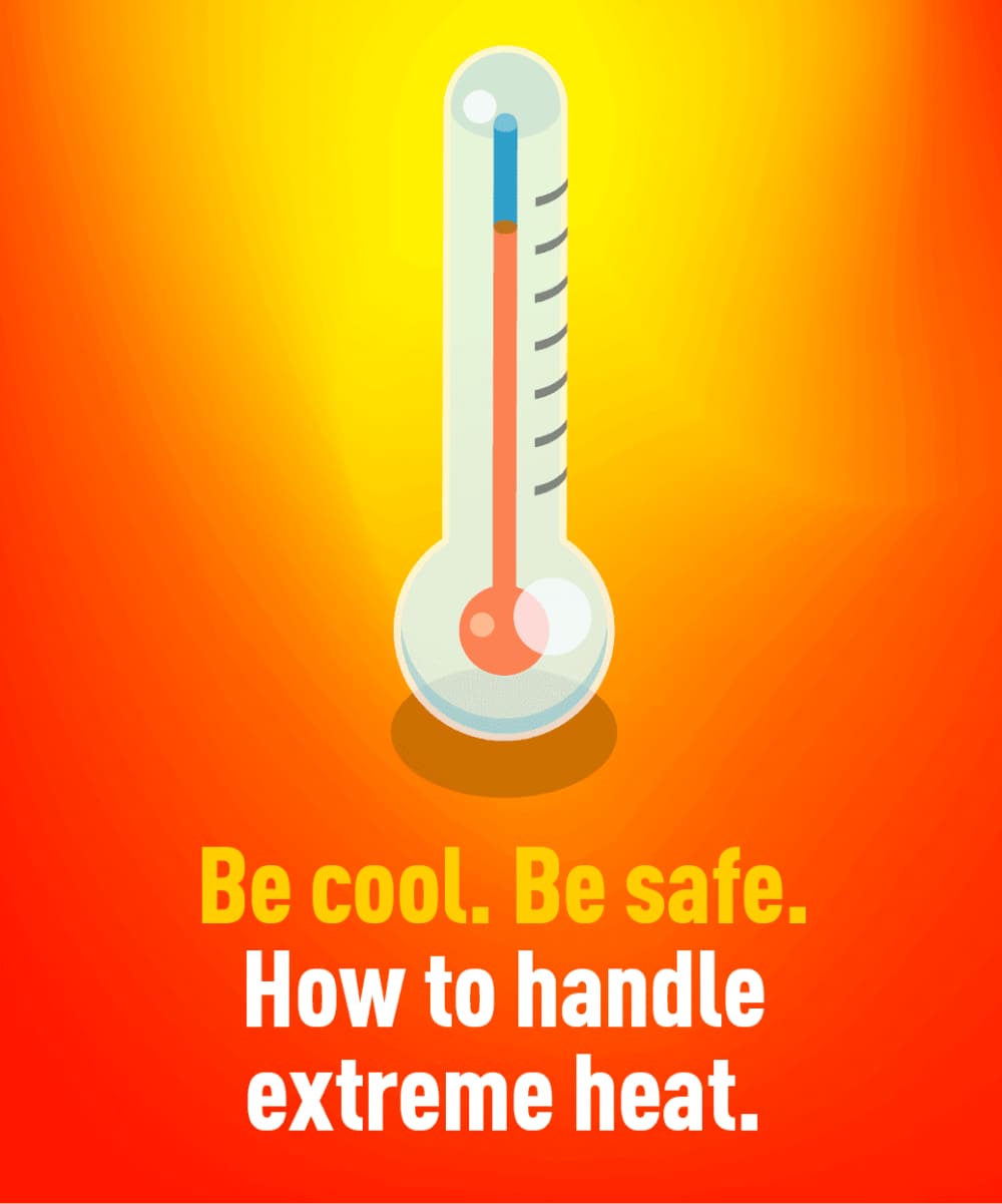 Heatwave Advice
