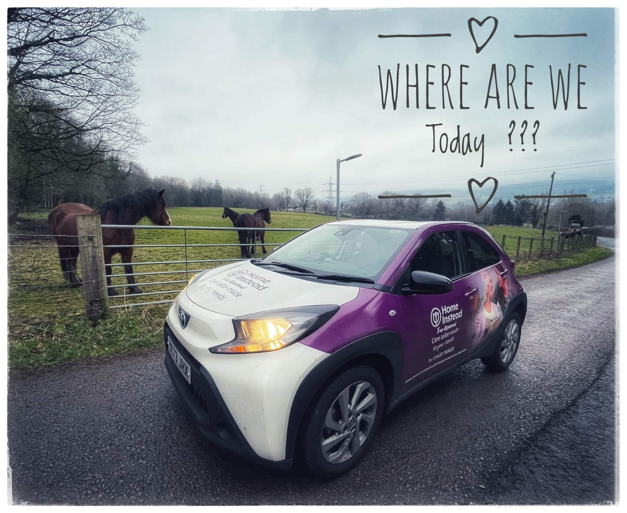 A car parked by a field with horses, captioned "Where are we today???" with heart doodles around the text. - Home Instead