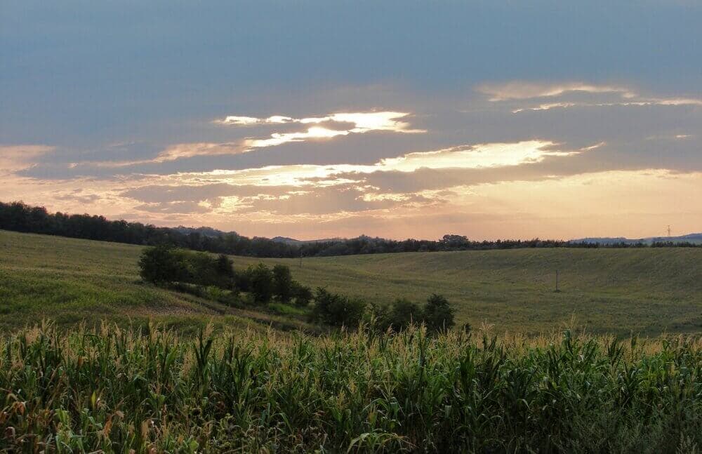 Sundowning