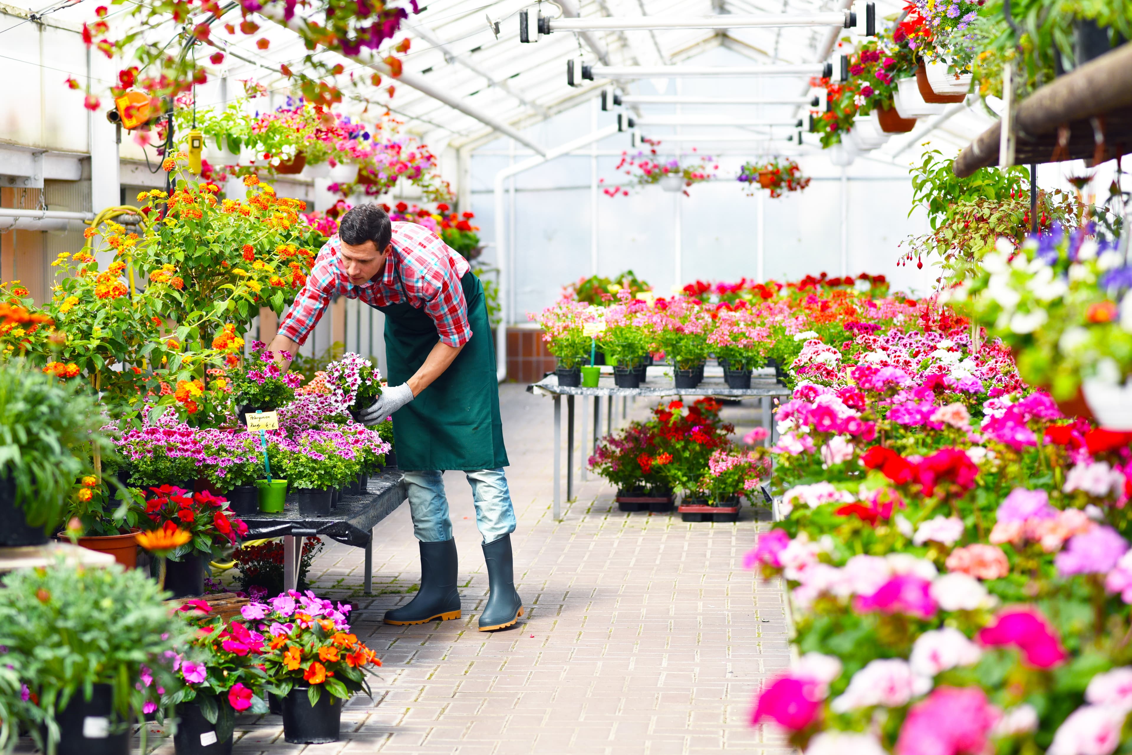 Garden Centre - Home Instead