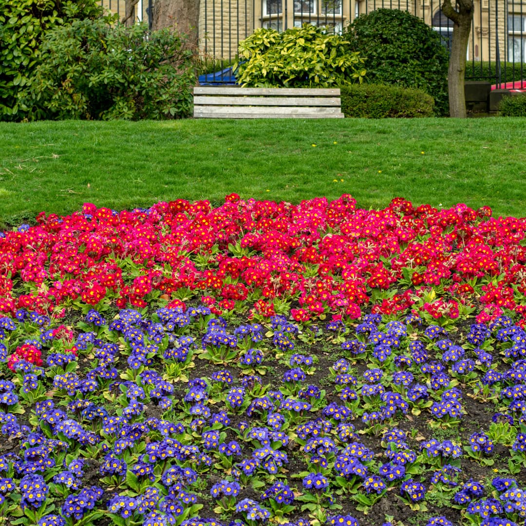 5 Local Parks to visit on a day out in Huddersfield 