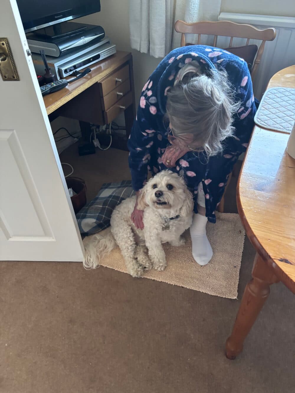 An elderly woman in a dressing gown sits and strokes a fluffy white dog on a mat near a wooden table indoors. - Home Instead