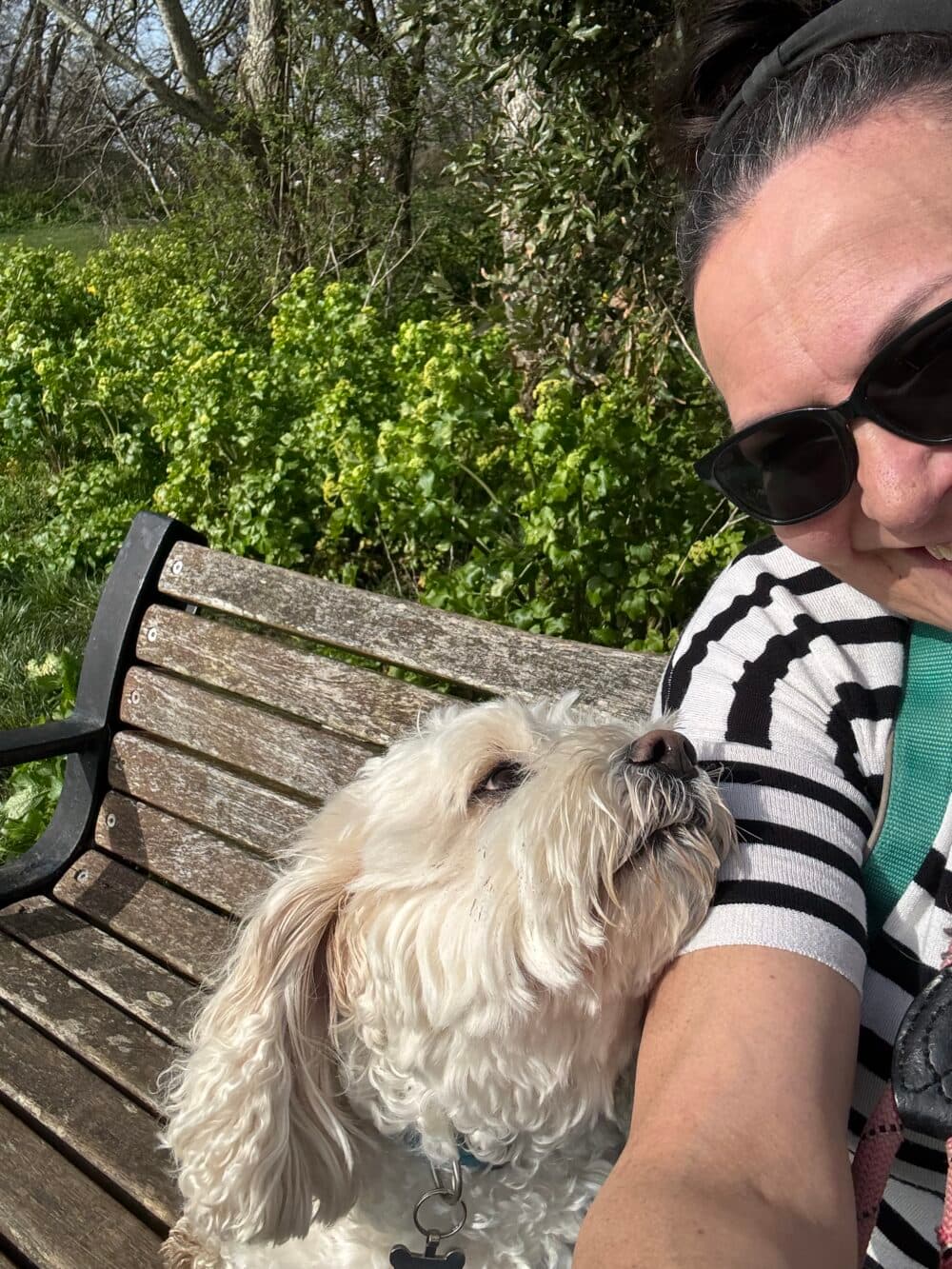 A fluffy white dog looks up at a woman in sunglasses sitting together on a wooden bench in the sun. - Home Instead