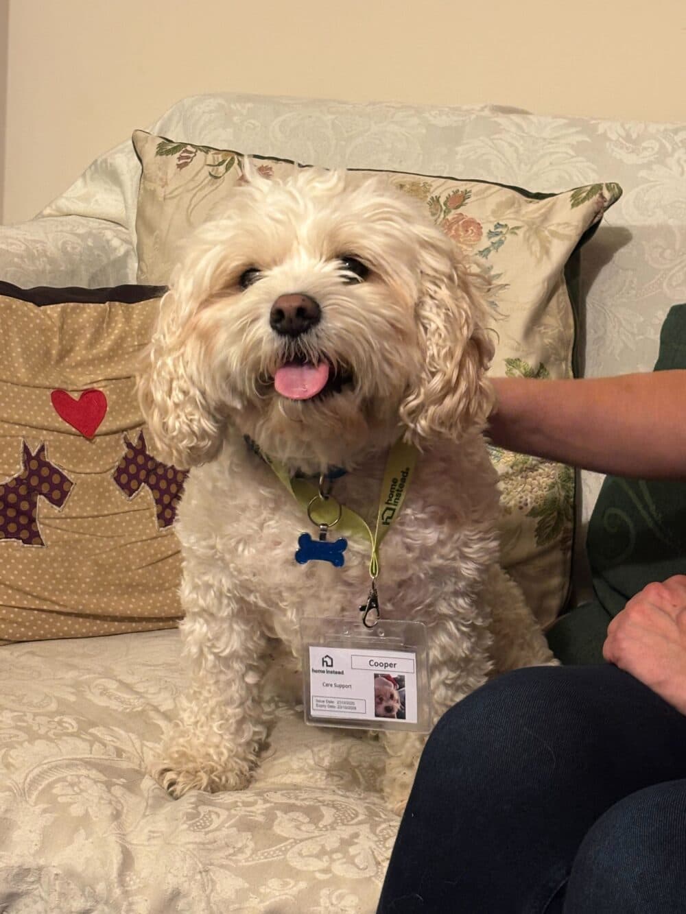 The Power of Companionship: How Cooper the Support Dog is Making a Difference