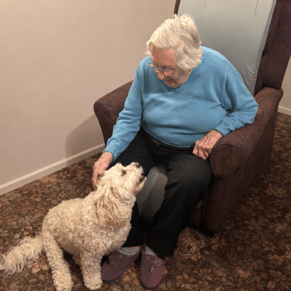 An elderly woman in a blue jumper pets a fluffy white dog beside her armchair on a patterned carpet. - Home Instead