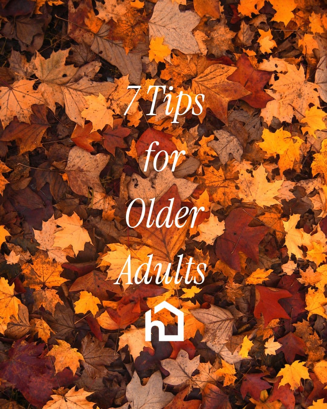Staying Safe and Warm at Home This Autumn: 7 Tips for Older Adults