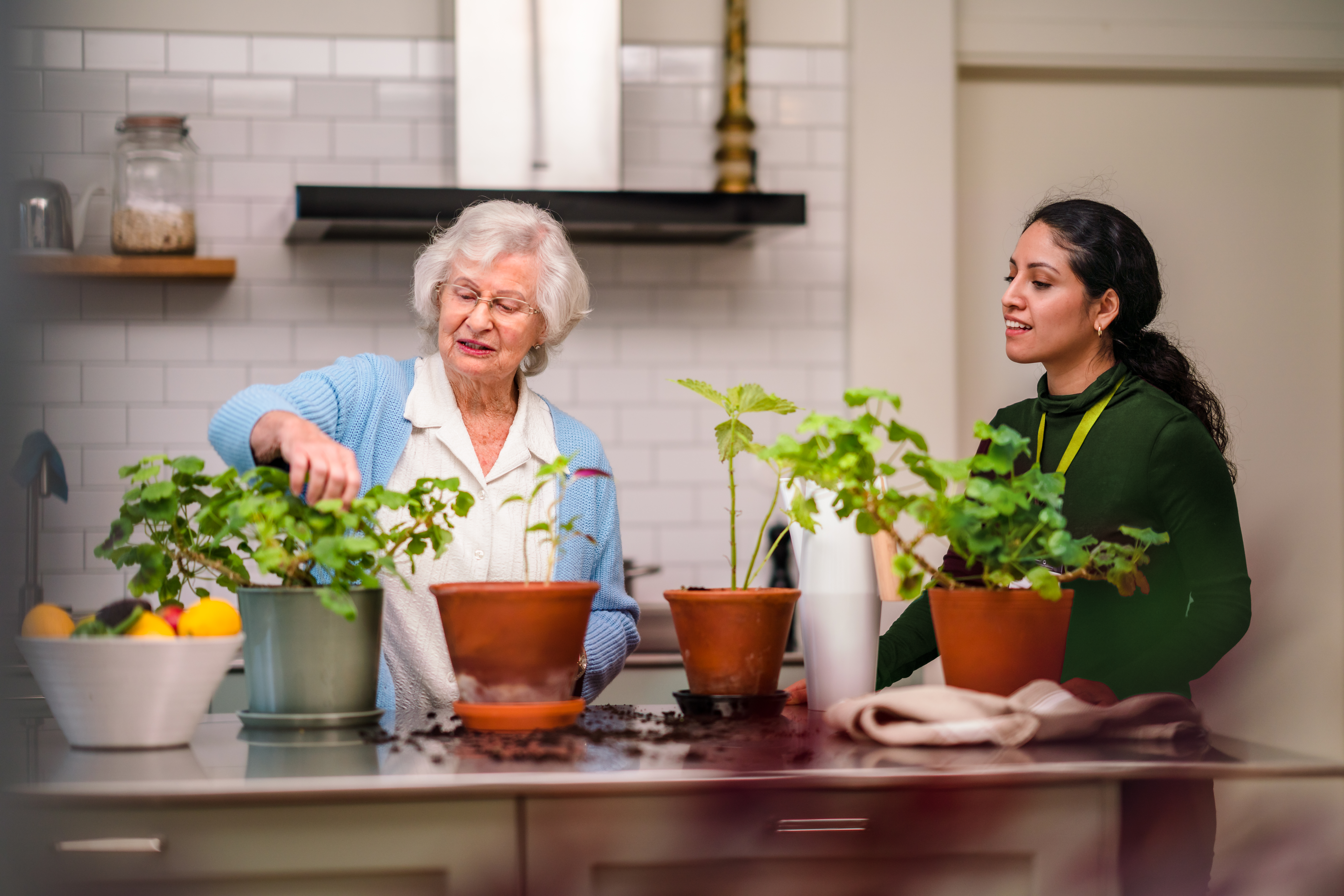 Client & Care Professional - Home Instead