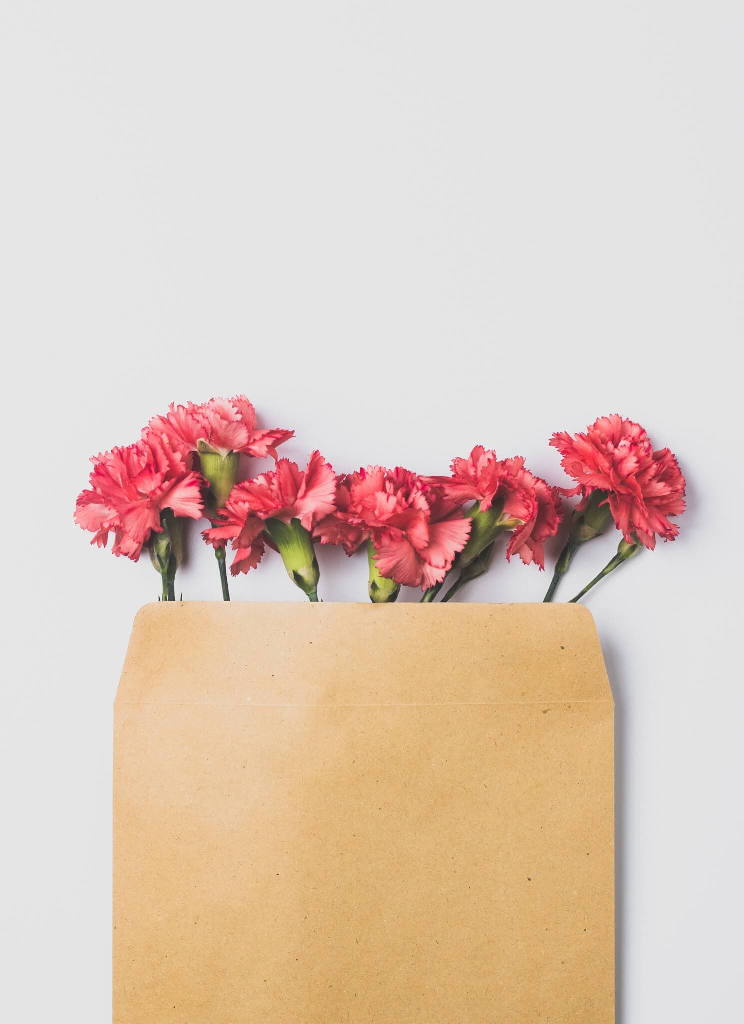 Red carnations emerging from the top of an open brown envelope on a white background. - Home Instead