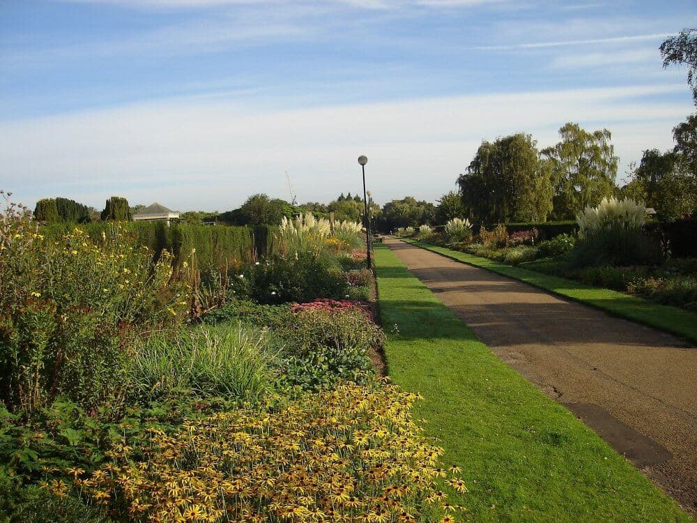 A paved path bordered by lush gardens and flowers stretches into the distance under a clear sky. - Home Instead