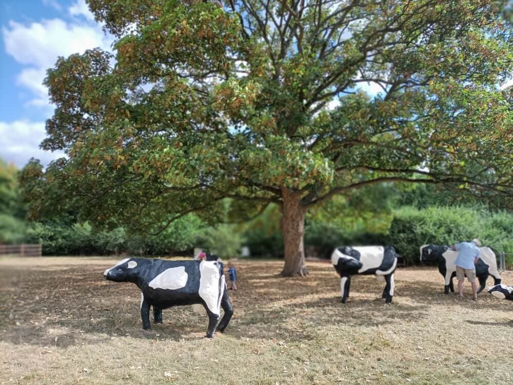 People interacting with life-sized cow statues under a large tree in a park on a sunny day. - Home Instead