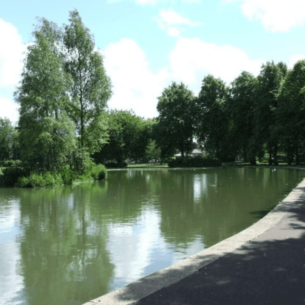 Robertson Park, Renfrew - A serene park with trees reflecting in a calm pond under a partly cloudy sky. A pathway runs alongside the water. - Home Instead Renfrewshire and Barrhead care at home services