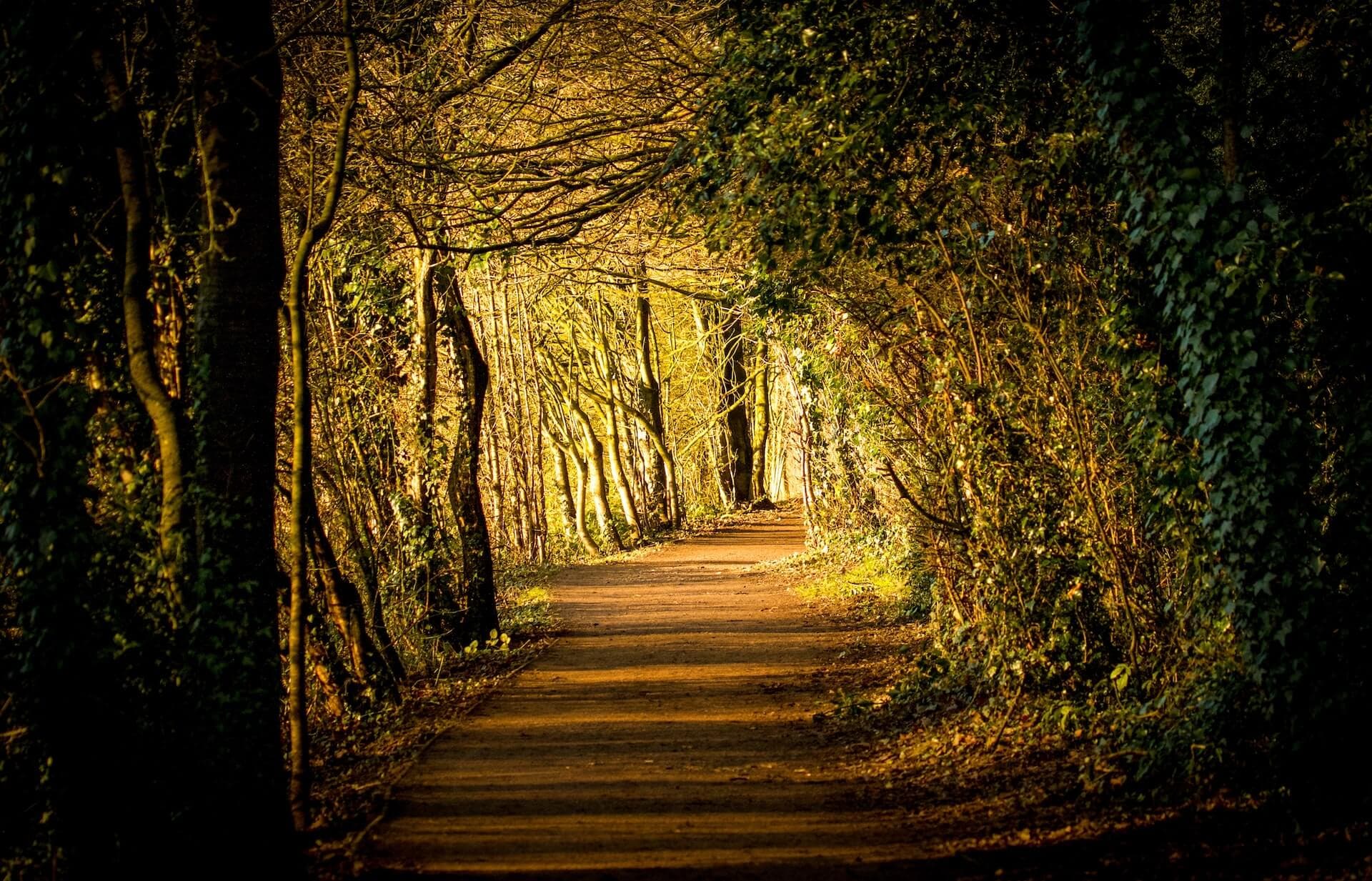 The 5 Best Local Parks and Gardens in Northwich