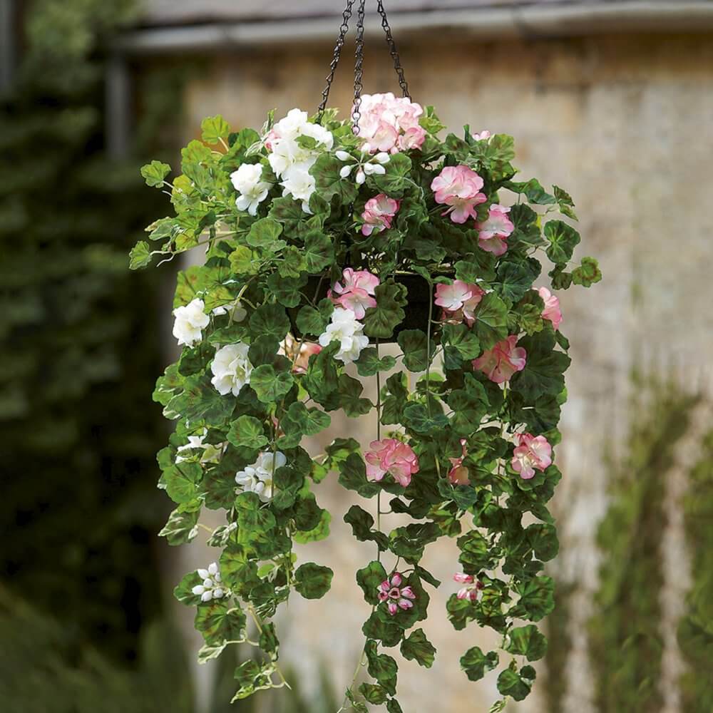 Hanging basket with cascading green ivy and blooming pink and white flowers against an outdoor wall background. - Home Instead