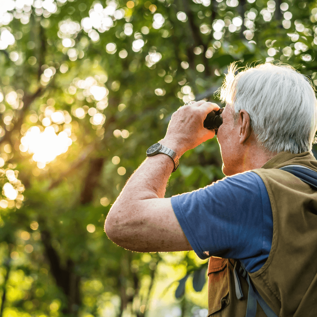 An older man wearing a blue shirt and vest looks through binoculars in a forest at sunset. - Home Instead