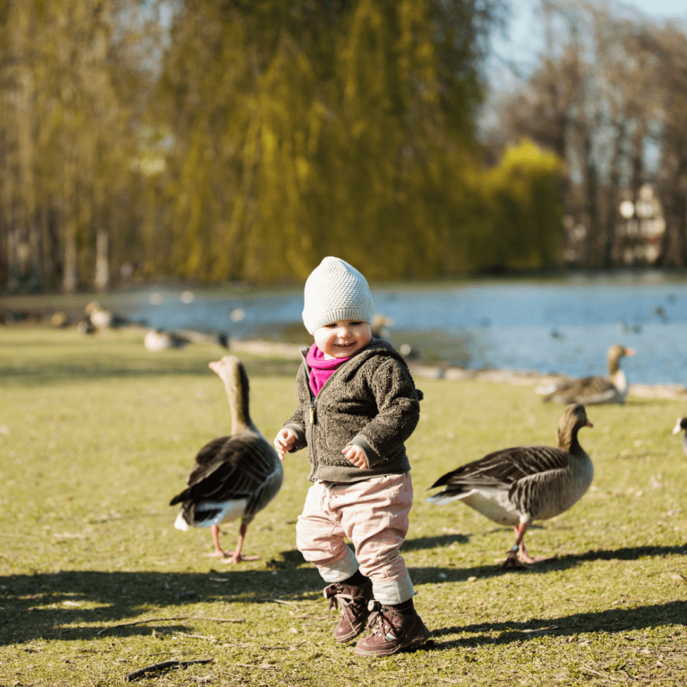 A child in a white hat smiles and walks near geese by a lake on a sunny day. - Home Instead