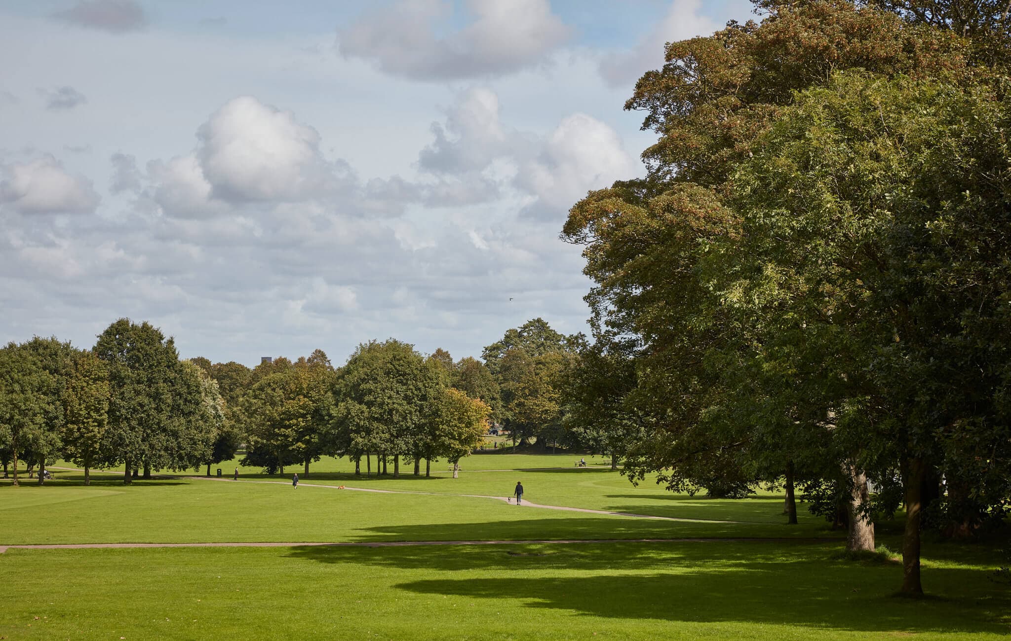 A spacious green park with scattered trees, a clear sky, and a few people walking along the paths. - Home Instead