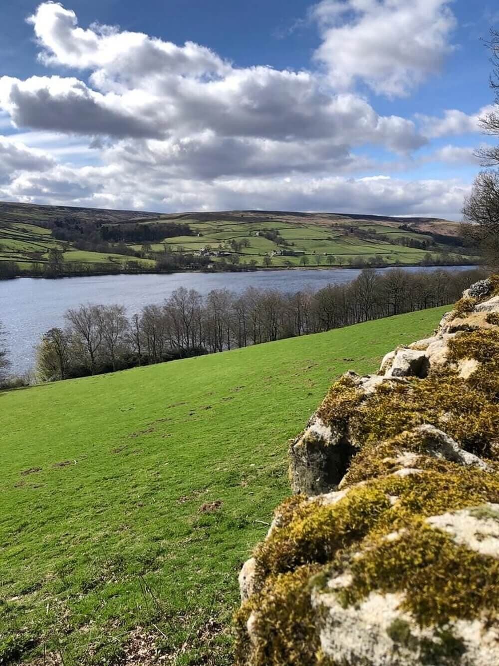 A serene lake surrounded by green fields and trees, under a partly cloudy sky, with a mossy stone wall in the foreground. - Home Instead