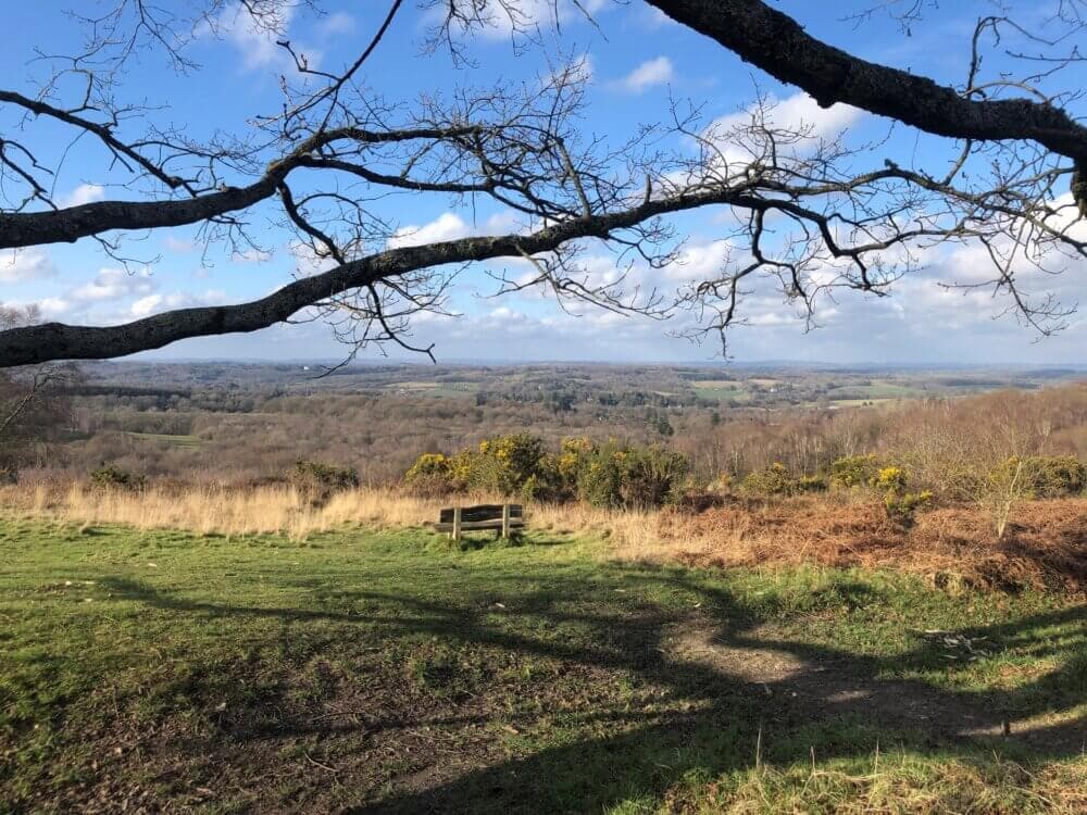 A scenic view of a grassy field with a bench, overlooking a forest and hills under a blue sky with scattered clouds. - Home Instead