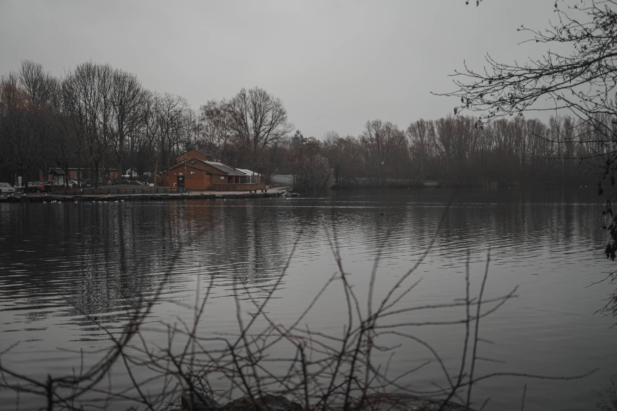 A tranquil lakeside scene with bare trees and a rustic cabin on the shore on a gloomy day. - Home Instead