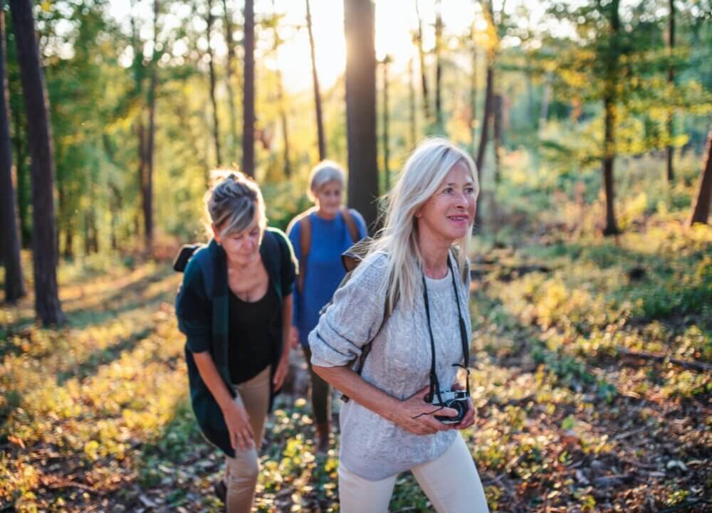 Three women hiking in a sunlit forest with trees and greenery in the background. - Home Instead