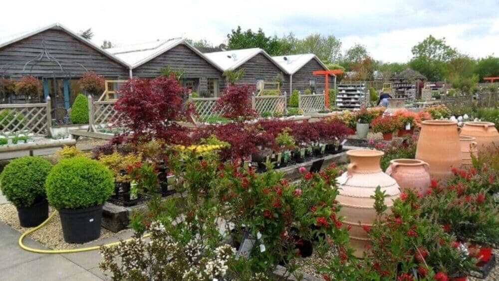 Outdoor garden center with various plants, shrubs, clay pots, and wooden buildings in the background. - Home Instead