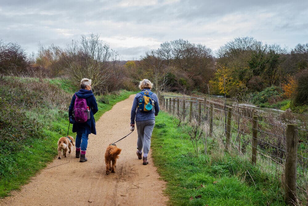 Two people walking dogs on a dirt path surrounded by greenery and autumnal trees under a cloudy sky. - Home Instead