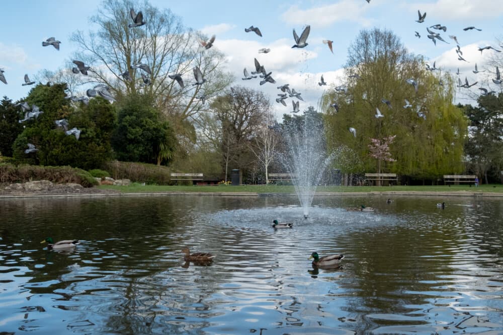 Pinner Memorial Park - Home Instead