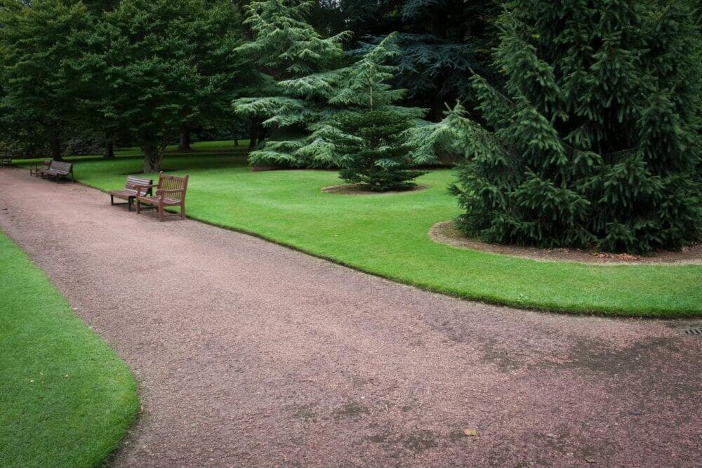 A serene park scene with a gravel path, benches, and neatly trimmed green grass surrounded by various trees. - Home Instead