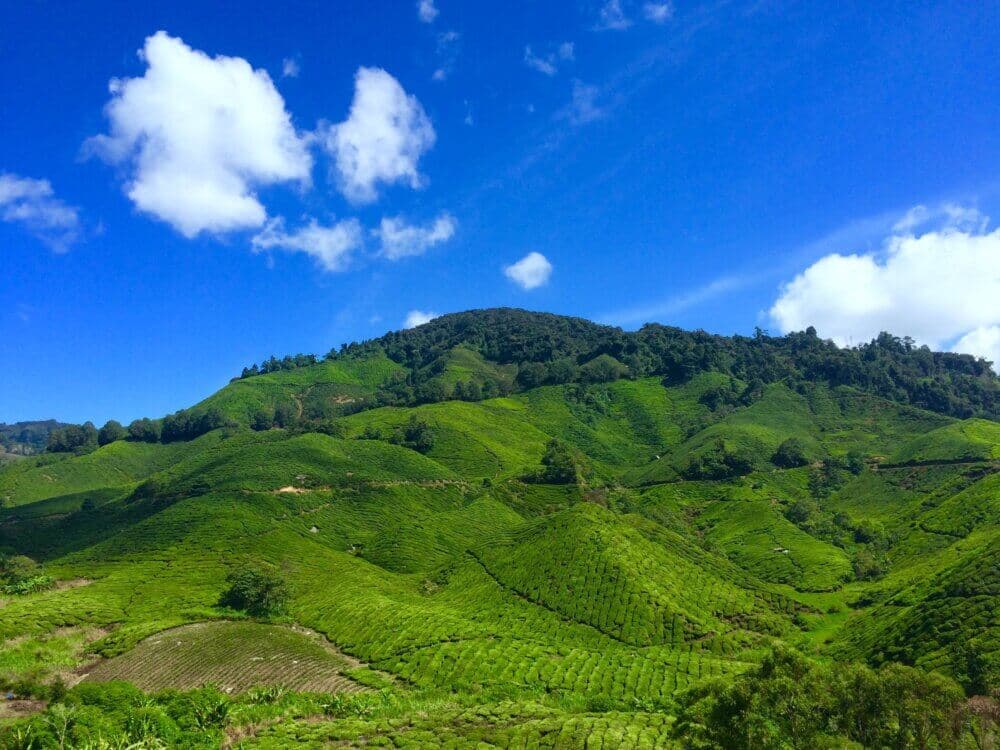 Scenic view of lush green hills under a bright blue sky with scattered white clouds. - Home Instead