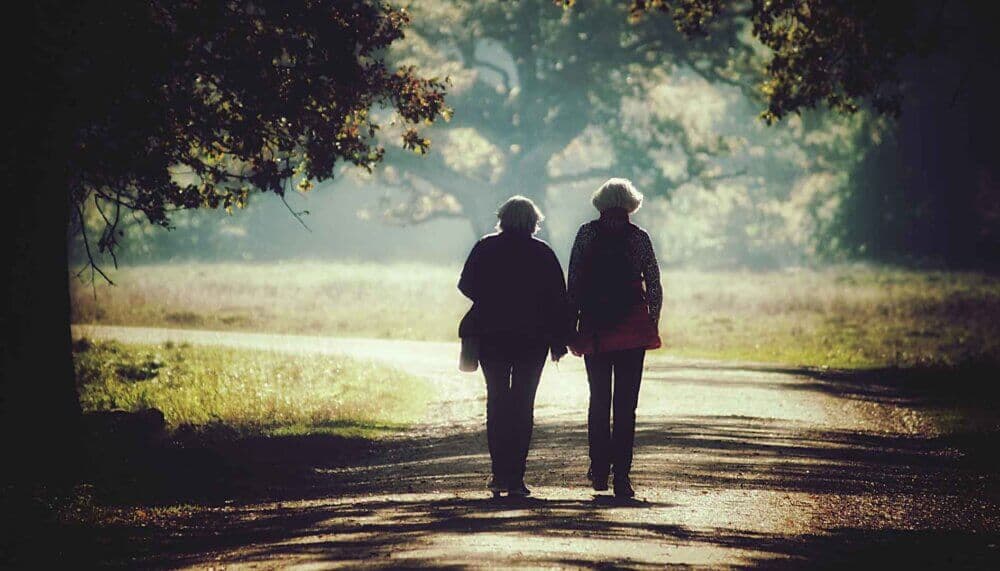 Two people walking on a sunlit path through a forest, holding hands with trees and grass in the background. - Home Instead