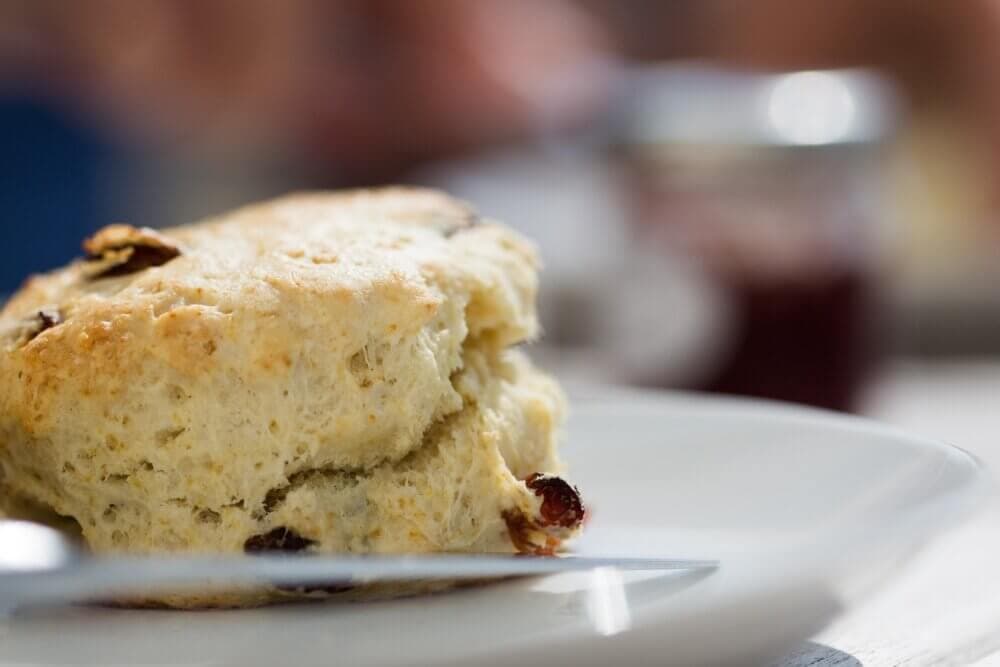 Close-up of a scone with raisins on a white plate, with a blurred jar of jam in the background. - Home Instead