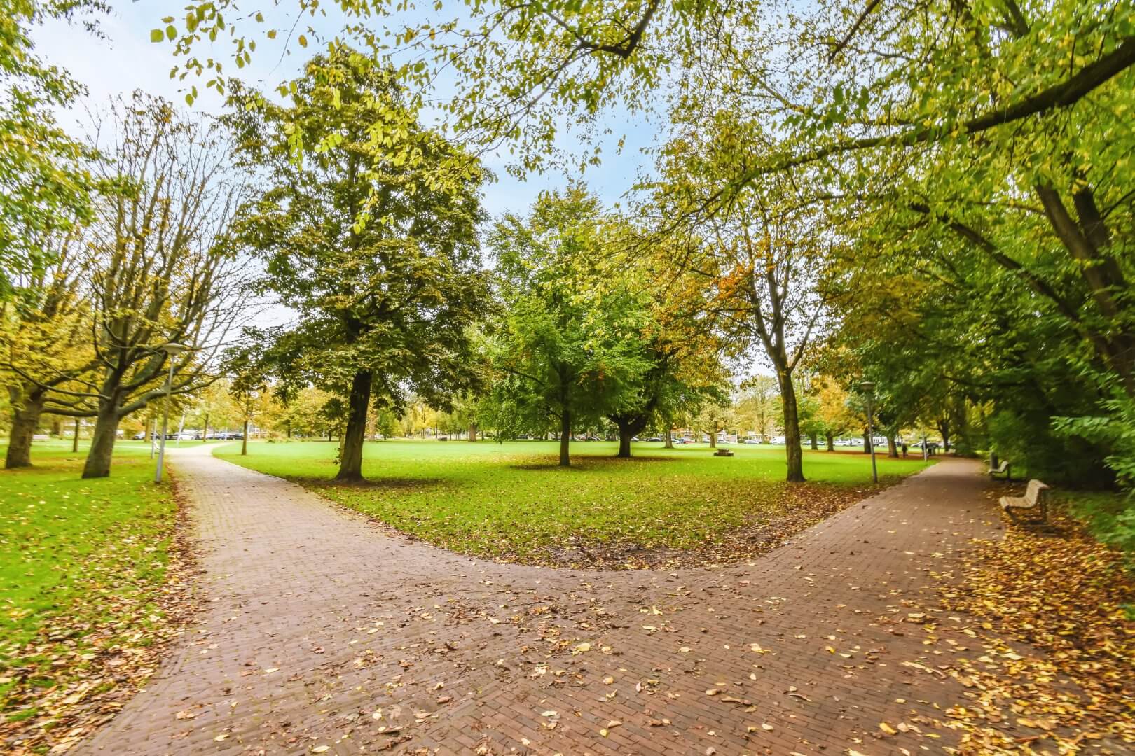 A park with a forked pathway, autumn leaves scattered on the ground, and trees in various stages of changing color. - Home Instead