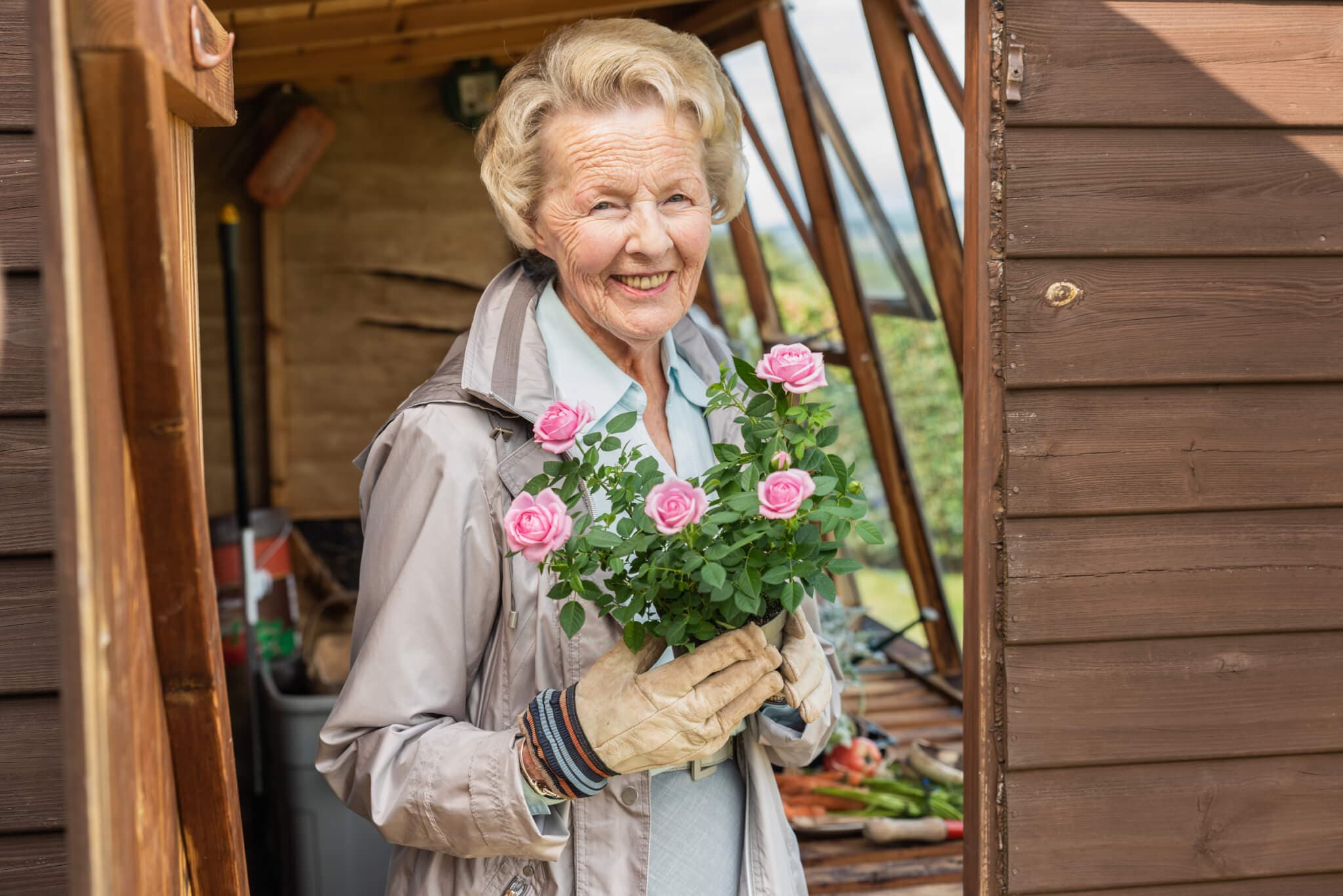 An elderly woman, smiling and holding a pot of pink roses, stands outside a wooden shed. - Home Instead