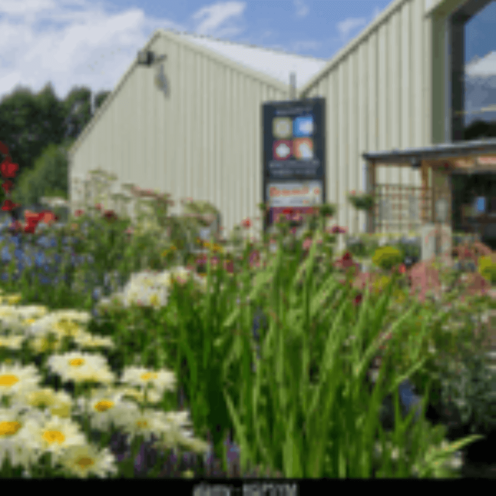 A garden center with flowers in the foreground and large buildings with signs in the background on a sunny day. - Home Instead