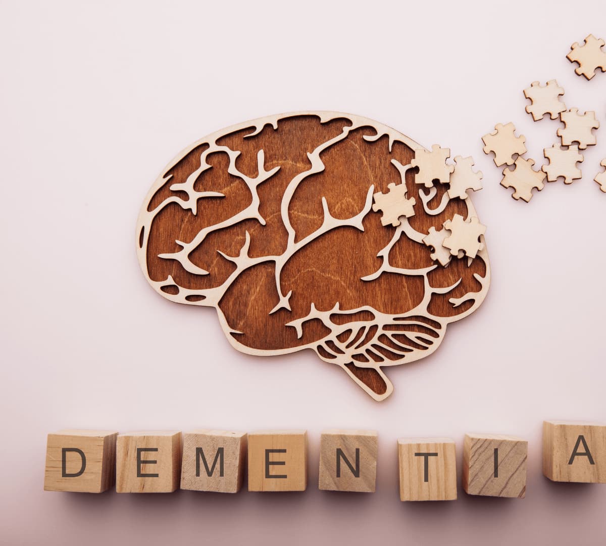 Wooden brain puzzle with missing pieces, symbolizing dementia. Blocks below spell out "DEMENTIA". - Home Instead