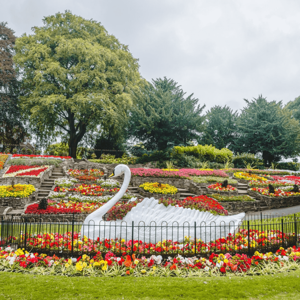 A large flowerbed with a white swan sculpture surrounded by colorful flowers and trees in a park. - Home Instead