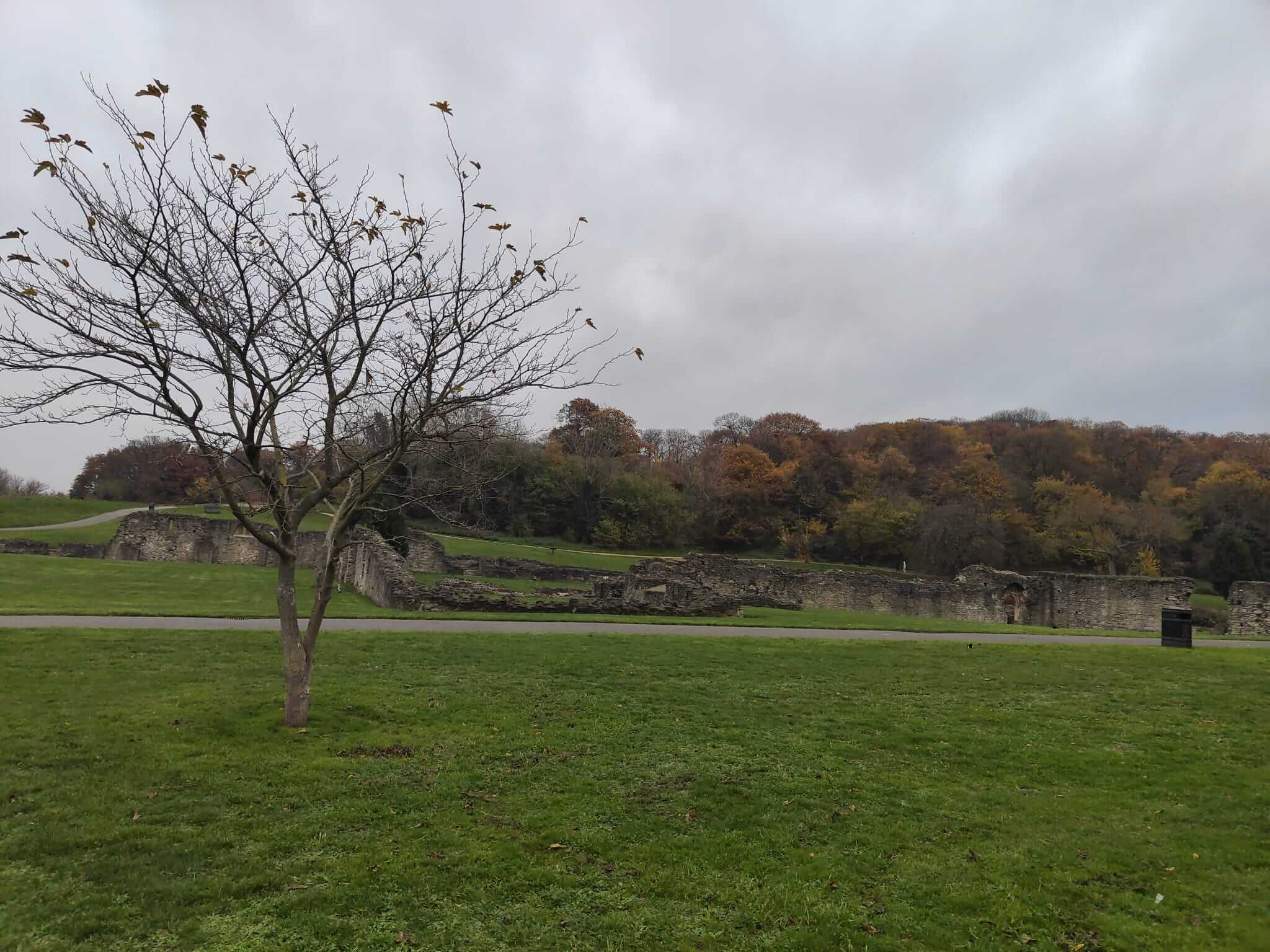 A leafless tree stands in a green field near old stone ruins, set against a backdrop of autumn-colored trees and an overcast sky. - Home Instead