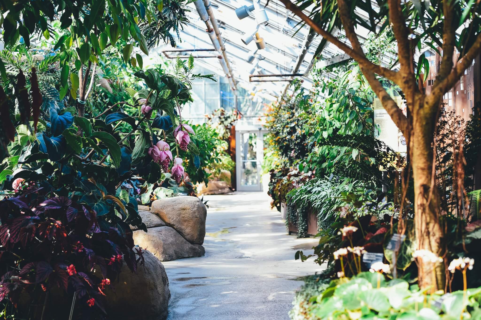 Garden Centres To Visit In & Around Cambridge