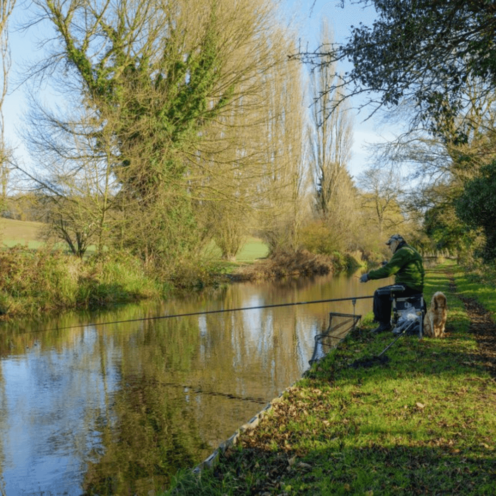 Person fishing by a calm river with a dog sitting nearby; trees and blue sky in the background. - Home Instead