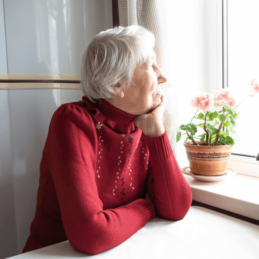 Elderly woman in a red sweater gazes out a window, her chin resting on her hand. A potted plant sits on the windowsill. - Home Instead