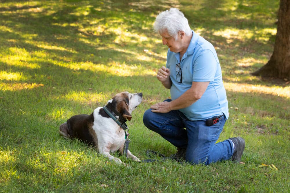 An older adult with a dog - Home Instead