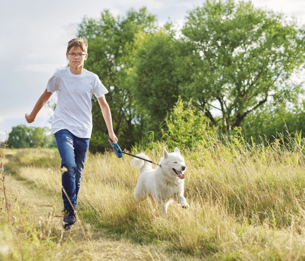 A person runs in a grassy field, smiling and holding a leash attached to a happy white dog. - Home Instead