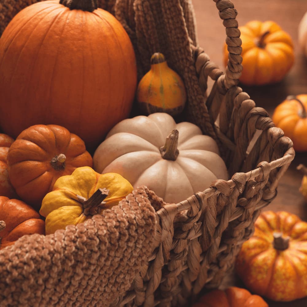 A woven basket filled with various pumpkins and gourds, including orange, white, and yellow varieties. - Home Instead